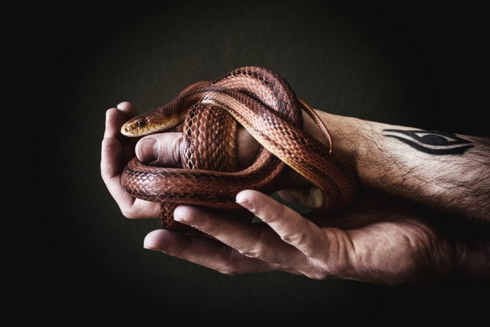 El hombre y la serpiente, de Ambrose Bierce